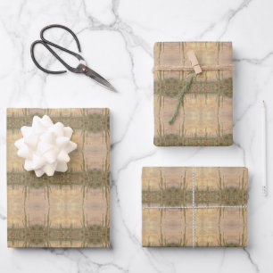 Desert Cactus Plants On Wood Grain Photo Image Wrapping Paper Sheet