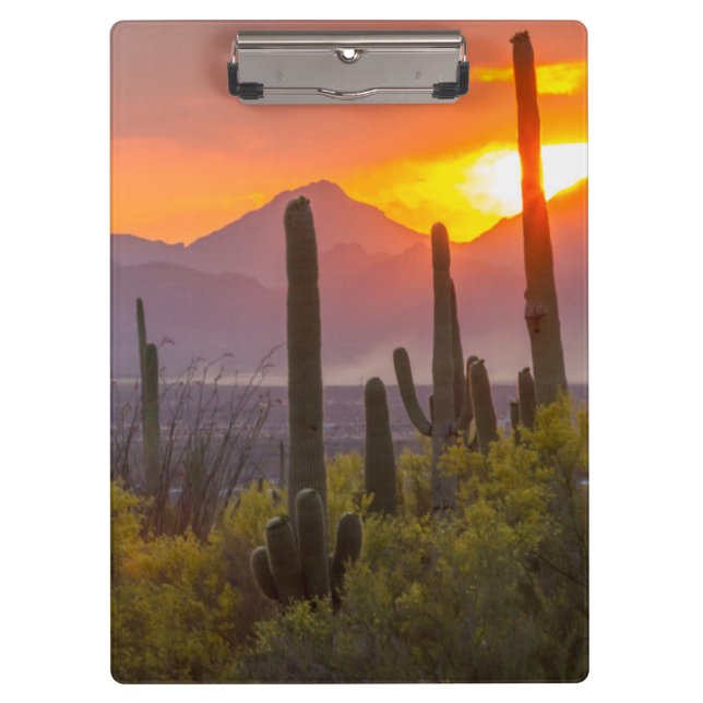 Desert cactus sunset, Arizona Clipboard (Front)