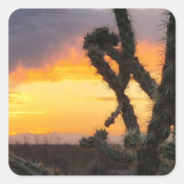 Desert Cactus Sunset Square Sticker (Front)
