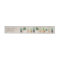 Desert Cactus Wrap Around Return Address Label