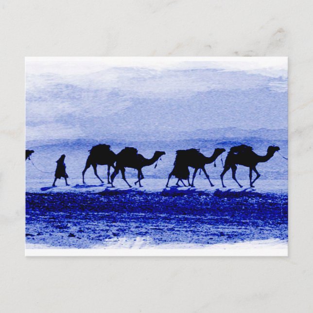 Desert Camel Caravan Blue Postcard (Front)