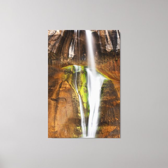 Desert Cascade Canvas Print (Front)