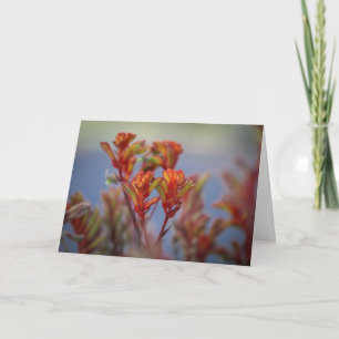 Desert Christmas Garden Plant Red Green Holiday Card