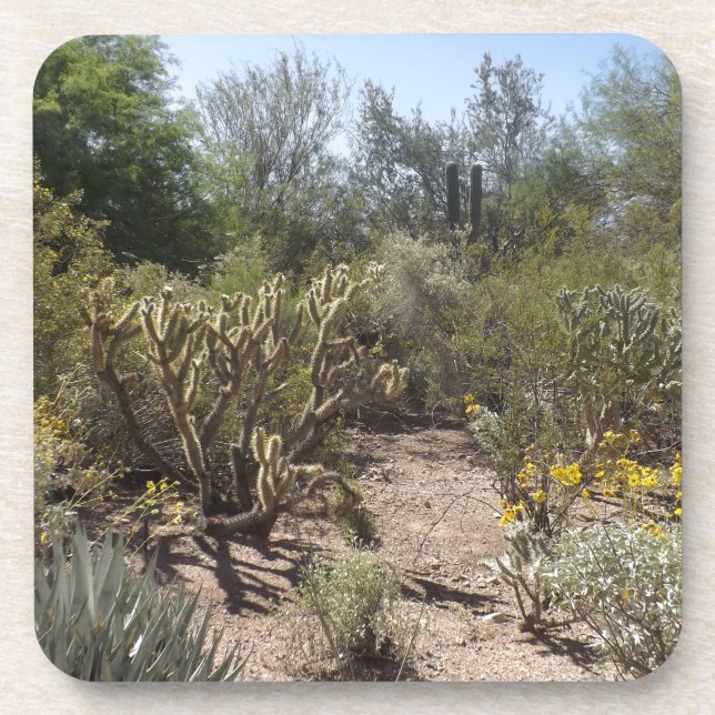 Desert Coaster (Front)
