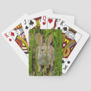 Desert Cottontail Rabbit Playing Cards