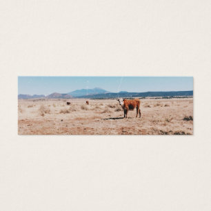 Desert Cow