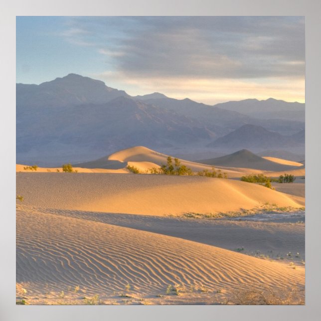 Desert Dawn Poster (Front)