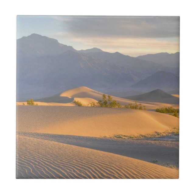 Desert Dawn Tile (Front)