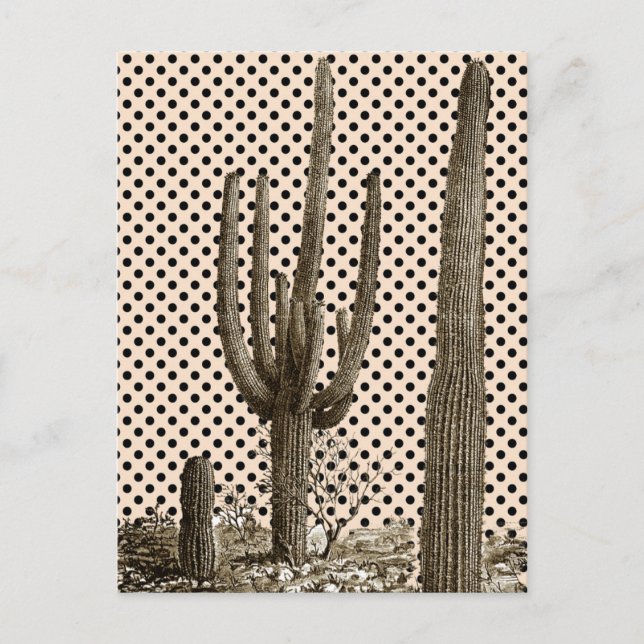 Desert diva postcard (Front)