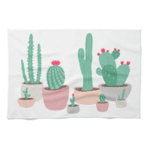Desert Dreams Potted Cacti