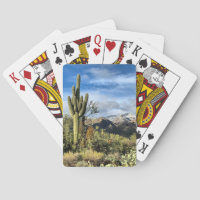 Desert Dreams Saguaro Cactus Catalina Mountains