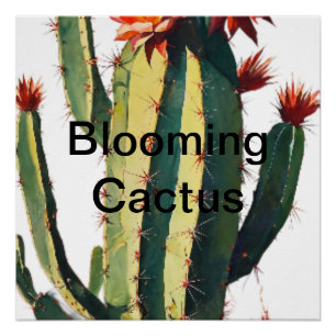 Desert Elegance: Blooming Cactus Poster
