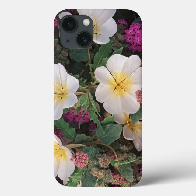 Desert Evening Primrose and Desert Sand Verbena, Case-Mate iPhone Case (Back)