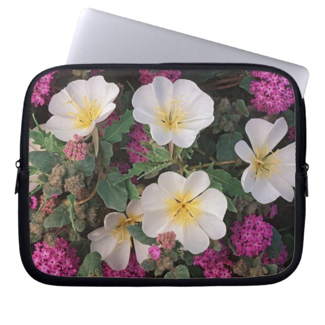 Desert Evening Primrose and Desert Sand Verbena, Laptop Sleeve (Front)
