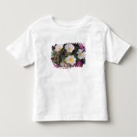 Desert Evening Primrose and Desert Sand Verbena,