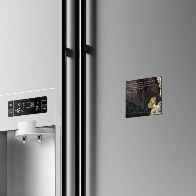 Desert Faith Collection Isaiah 43:19 KJV Magnet (Creator Uploaded)