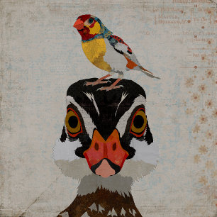 DESERT FEATHERS PLAYING CARDS