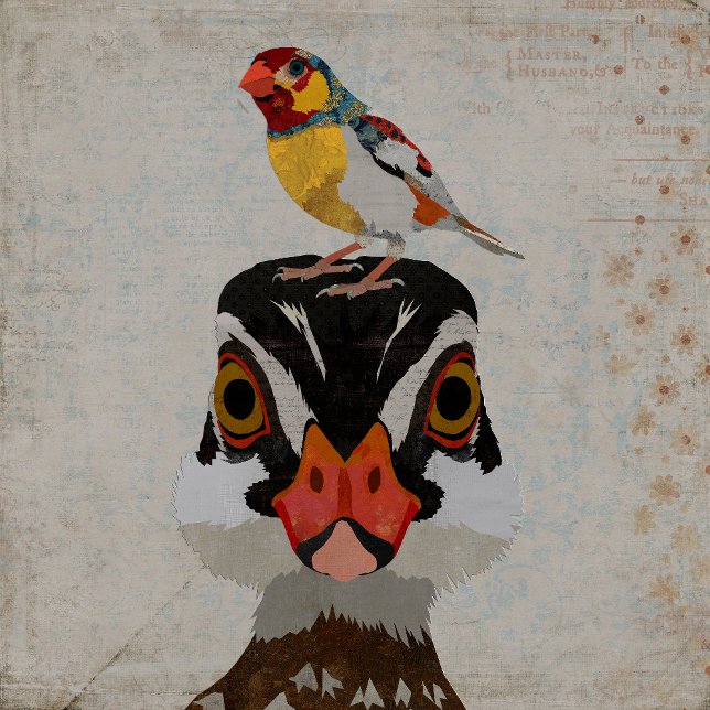 DESERT FEATHERS PLAYING CARDS (Creator Uploaded)