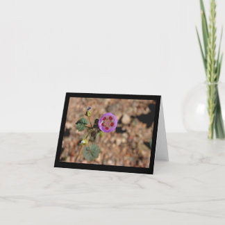 Desert Five Spot Note Card