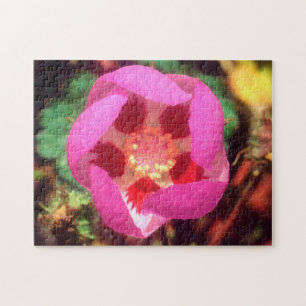 Desert Five Spot Wildflower Jigsaw Puzzle
