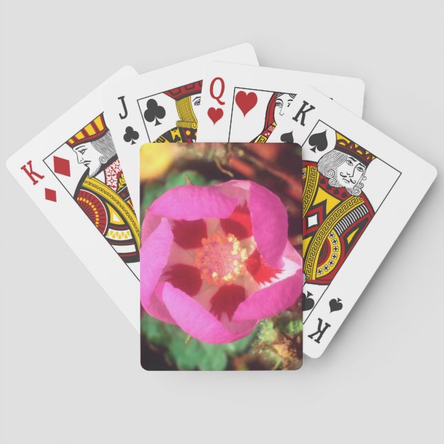 Desert Five Spot Wildflower Playing Cards (Back)