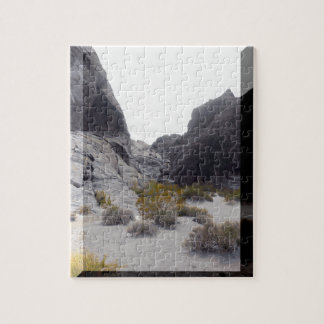 desert floor jigsaw puzzle