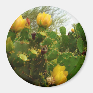 Desert Flower Magnet