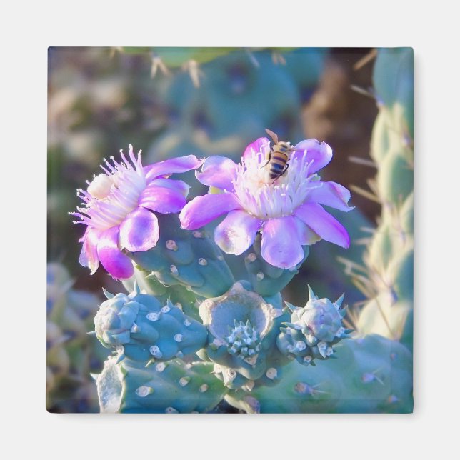 Desert Flower Pollinator Magnet (Front)