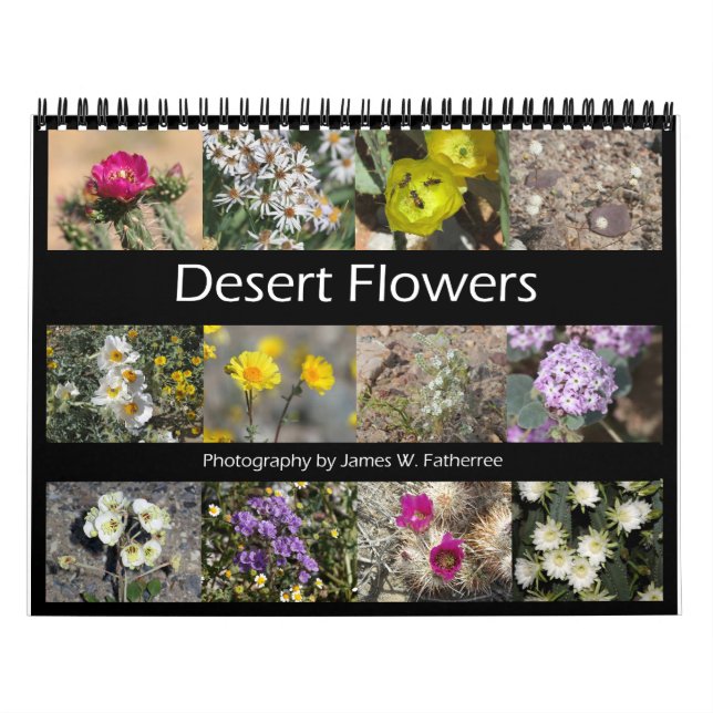 Desert Flowers Wall Calendar by J.W. Fatherree. (Cover)