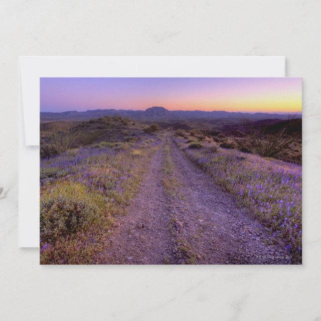 Desert Gravel Road (Front)