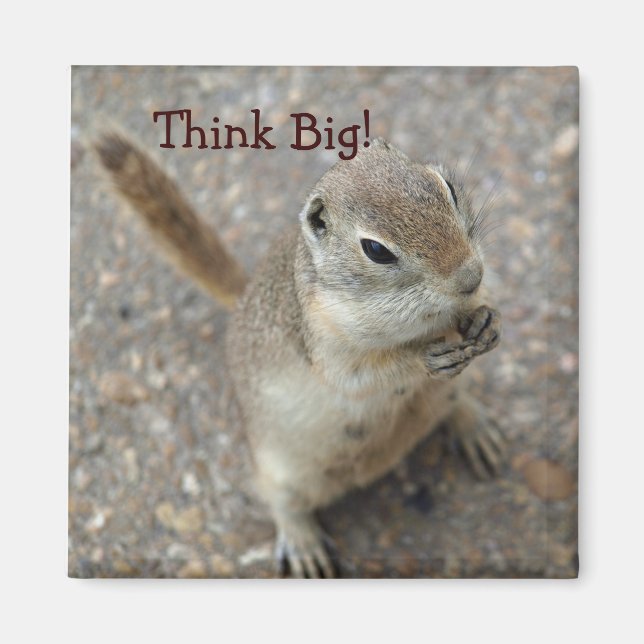 Desert Ground Squirrel Animal Motivational Magnet (Front)