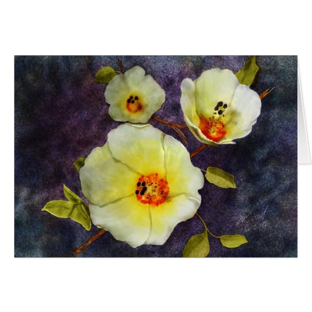 Desert Hibiscus (Front Horizontal)