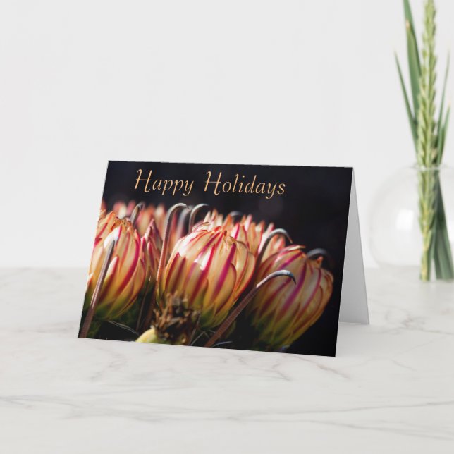 Desert Holiday in Bloom Card (Front)
