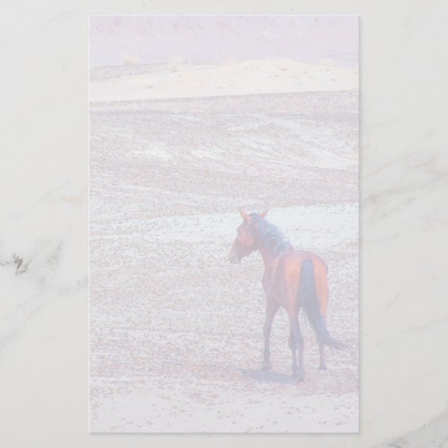 Desert Horse P8640 Stationery (Front)