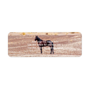 Desert Horse P8664