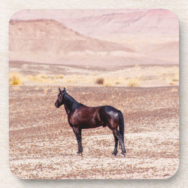 Desert Horse P8664 Coaster (Front)
