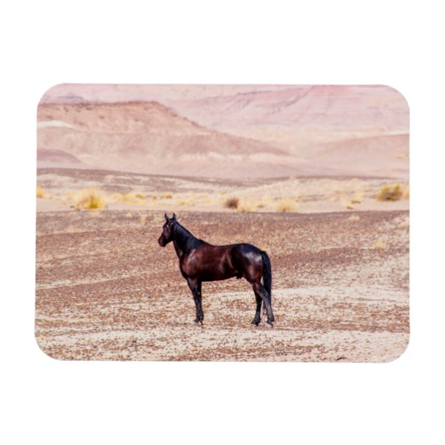 Desert Horse P8664 Magnet (Horizontal)