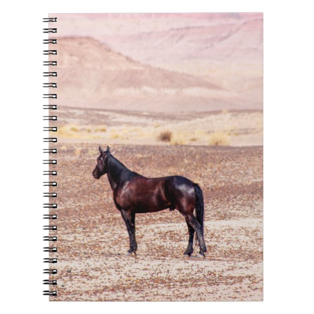Desert Horse P8664 Notebook (Front)