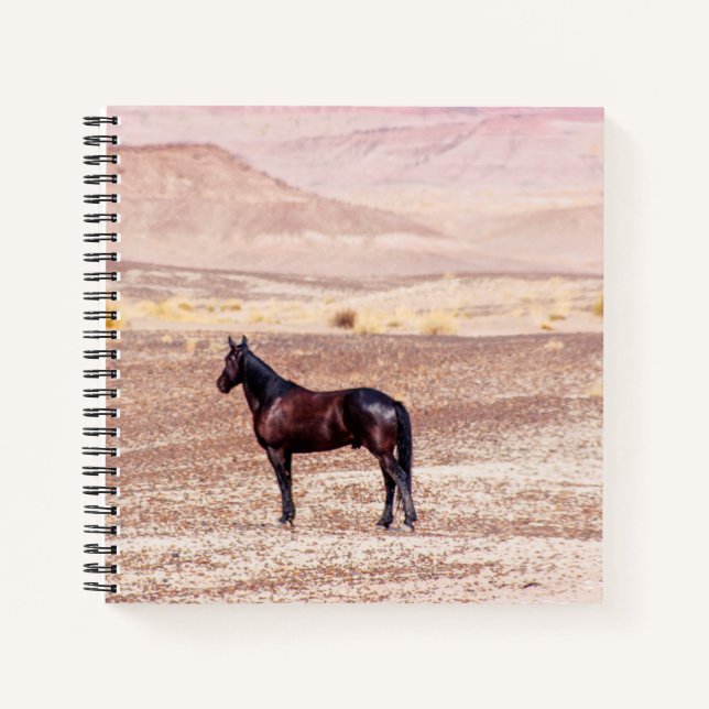 Desert Horse P8664 Notebook (Front)