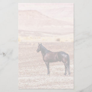 Desert Horse P8664 Stationery