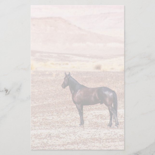Desert Horse P8664 Stationery (Front)