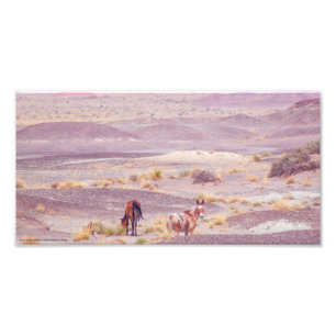 Desert Horses P8639 Photo Print
