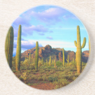 Desert in springtime coaster