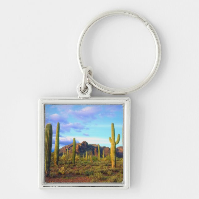 Desert in springtime key ring (Front)