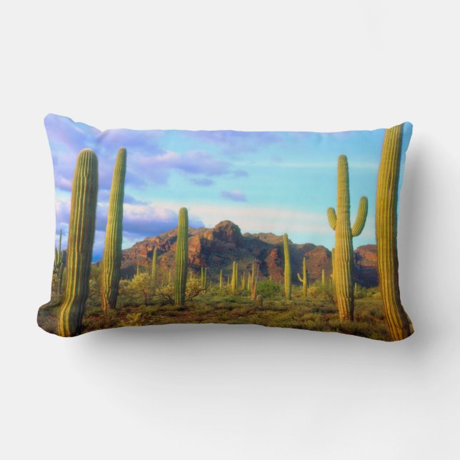 Desert in springtime lumbar cushion (Front)