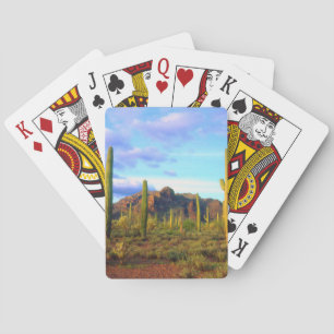 Desert in springtime playing cards