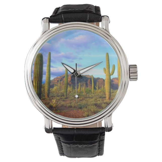 Desert in springtime watch (Front)