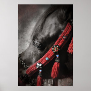 Desert Jewel Poster