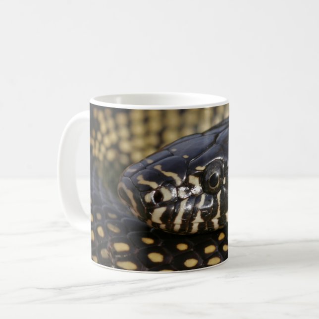 Desert Kingsnake Mug (Front Left)