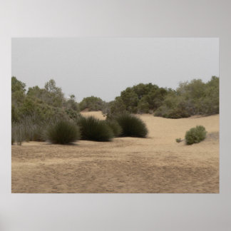 Desert land 1 poster
